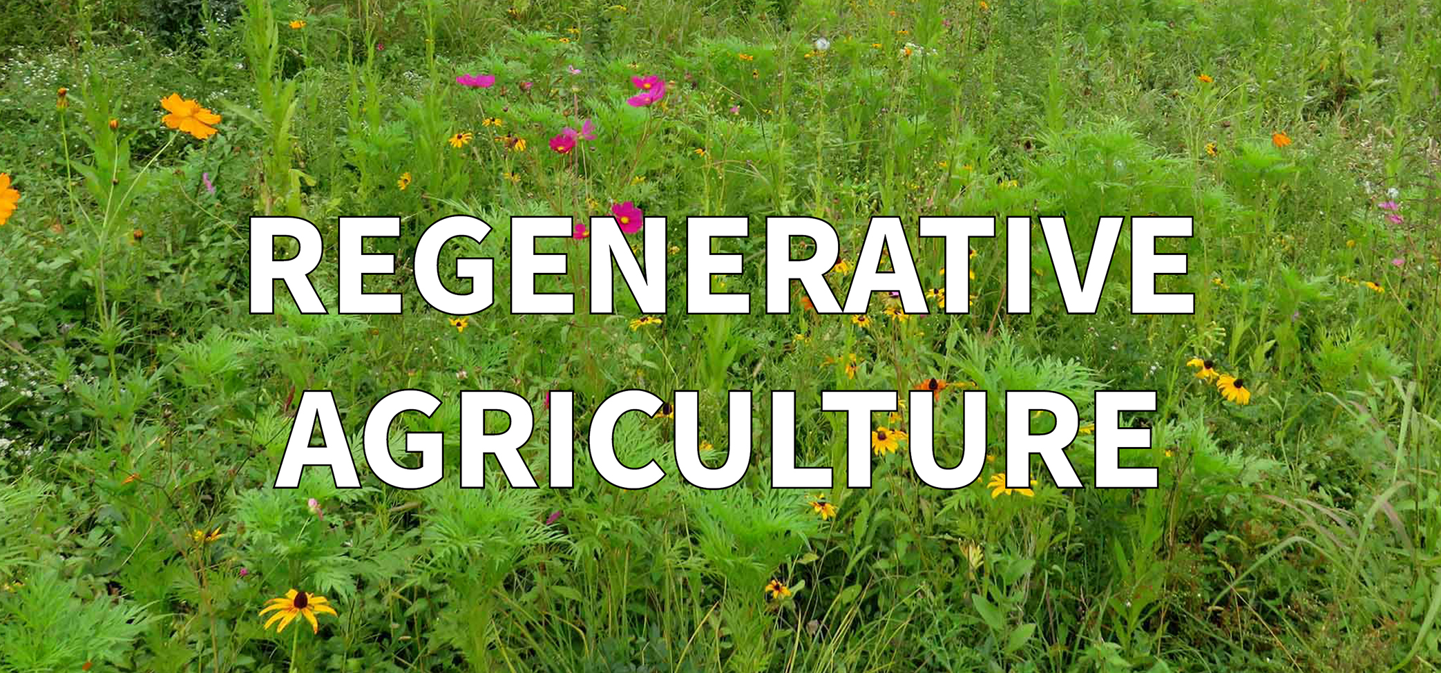 Restoring Land With Regenerative Agriculture - Jono Neiger