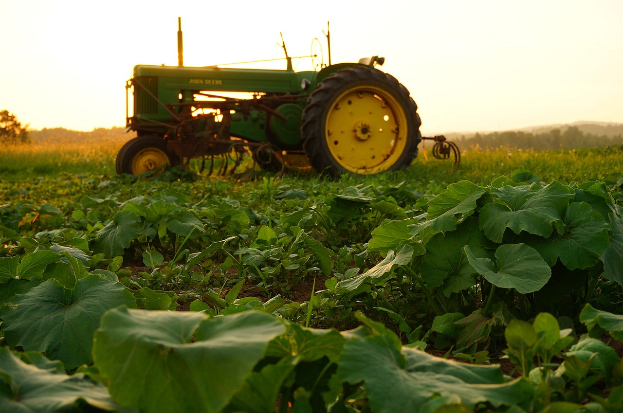 Tractor in a field of crops representing the Hatfield 2040 comprehensive plan's emphasis on agriculture