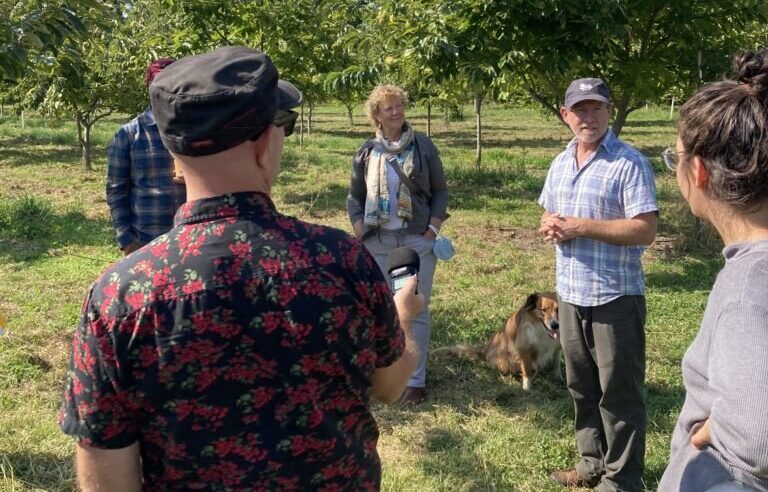 A group of people, include The Fabulous 413's Monte Belmonte, listen as Jono Neiger talks about regenerative agriculture in the fields of Big River Chestnuts