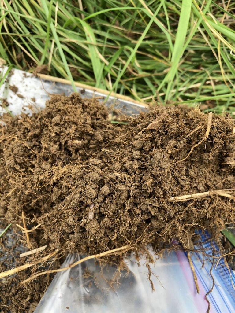 A Soil Productivity Assessment sample as it goes into a zip top bag